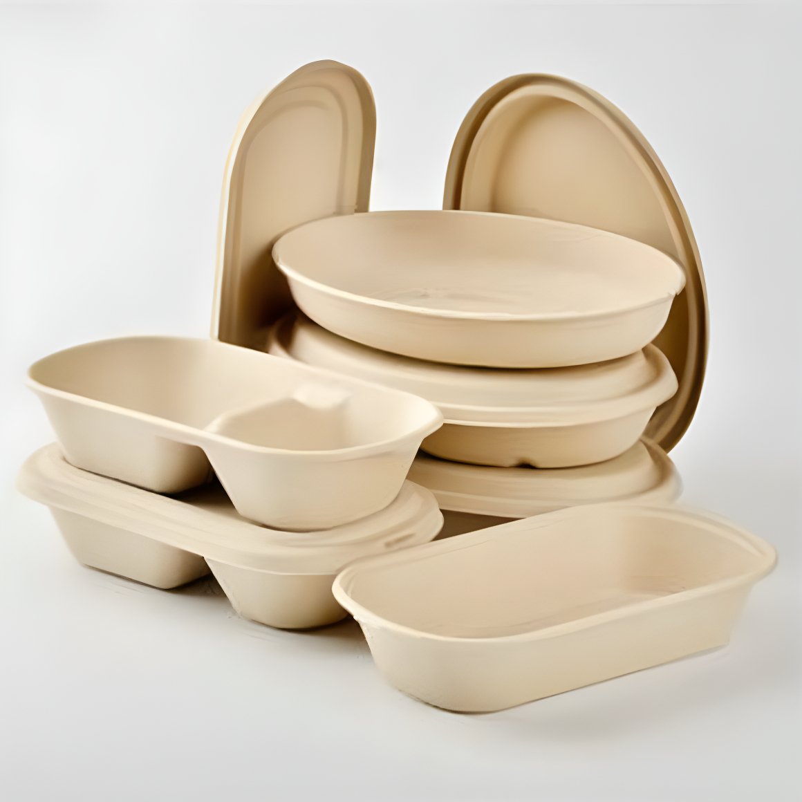 Bagasse food containers
