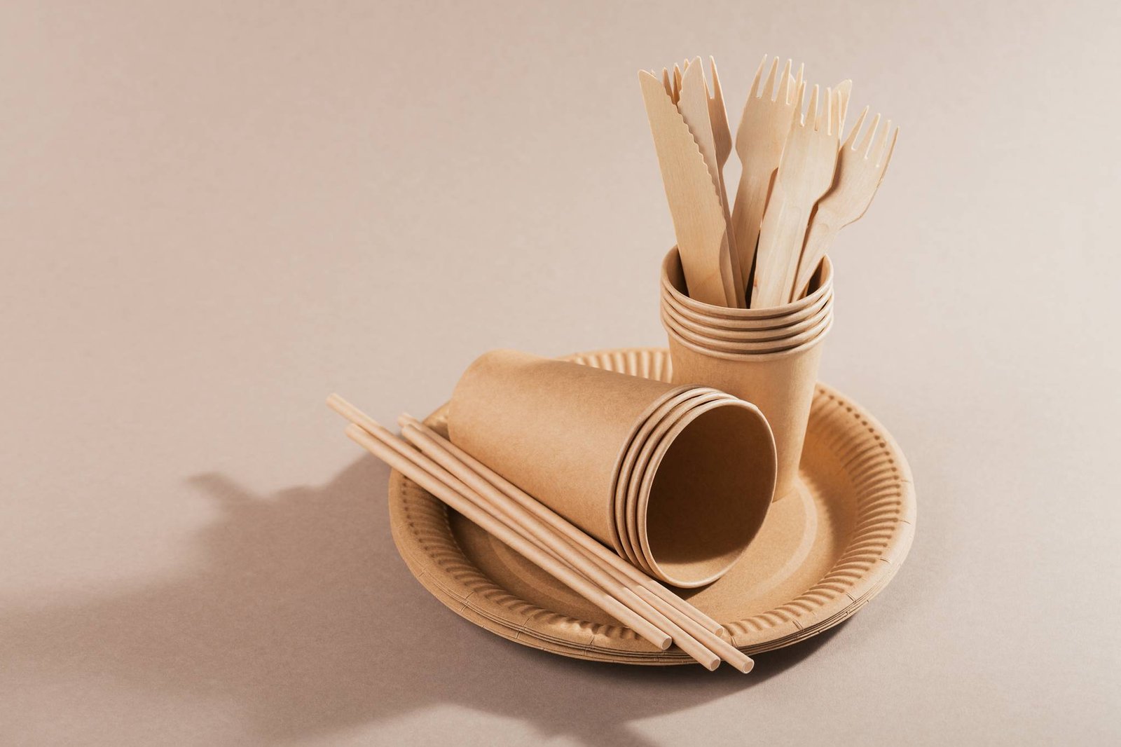 Bagasse plates and cutlery