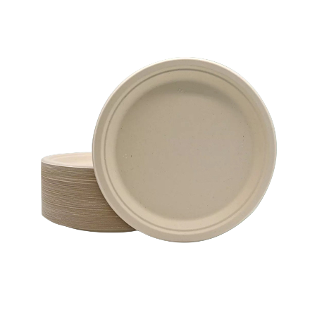 Bagasse Dish