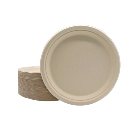 Bagasse Dish